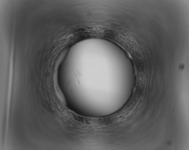 X0000098081057200804041143