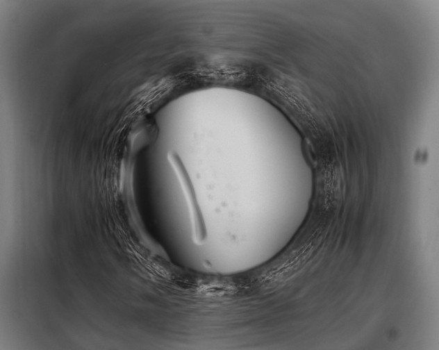 X0000098081058200804041143