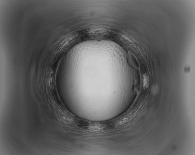 X0000098081059200804041143