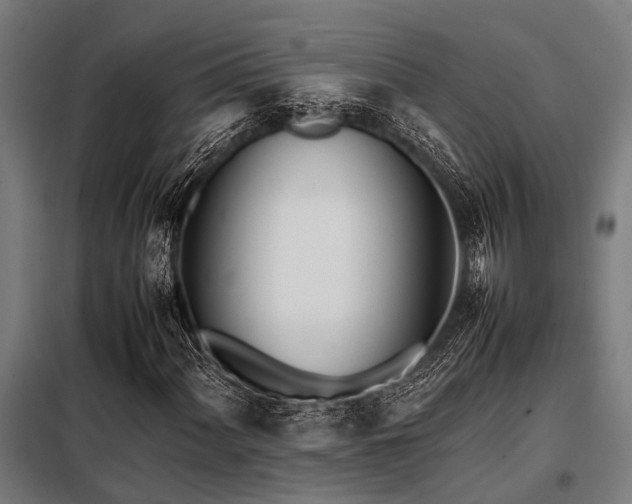 X0000098081060200804041143