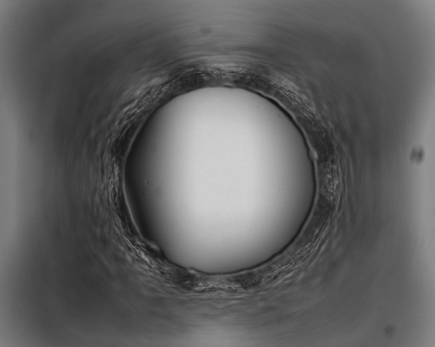X0000098081061200804041143