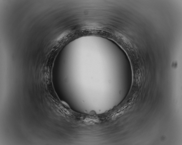 X0000098081062200804041143