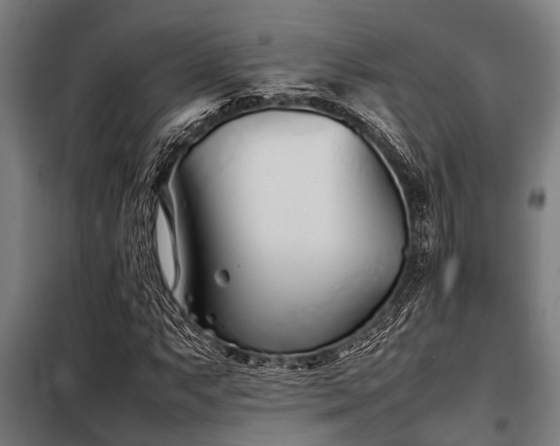 X0000098081063200804041143