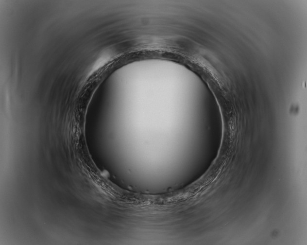 X0000098081064200804041143