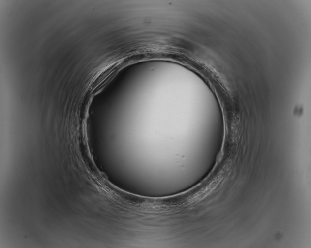 X0000098081065200804041143