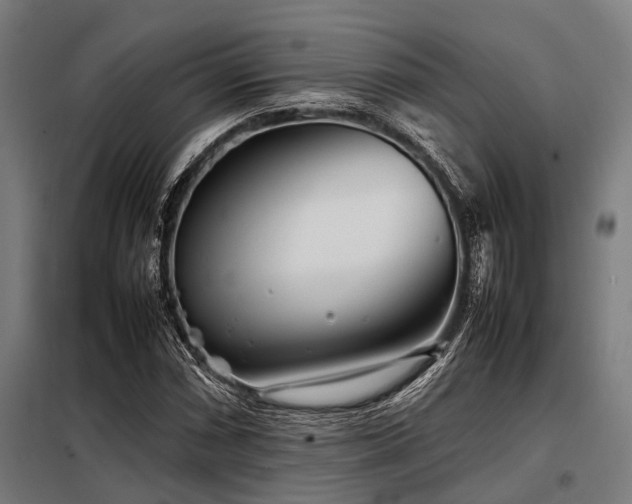 X0000098081066200804041143