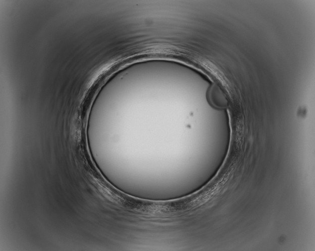 X0000098081067200804041143