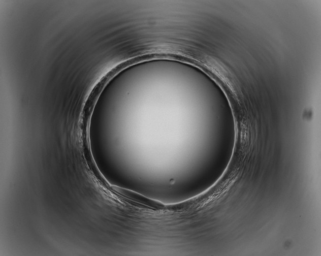 X0000098081068200804041143
