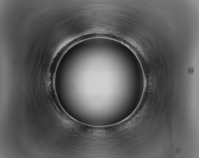X0000098081070200804041143