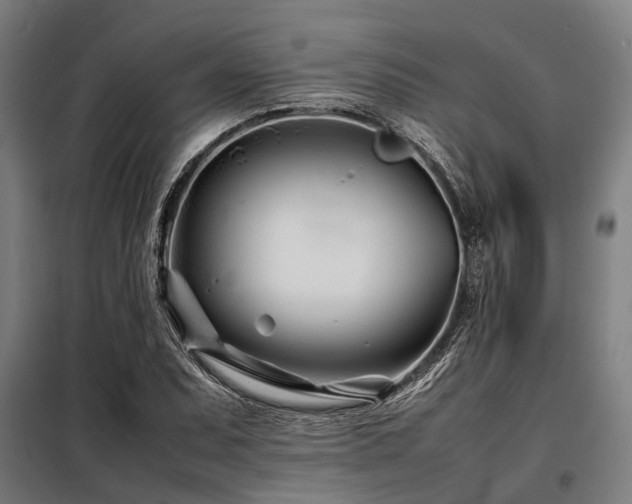 X0000098081071200804041143