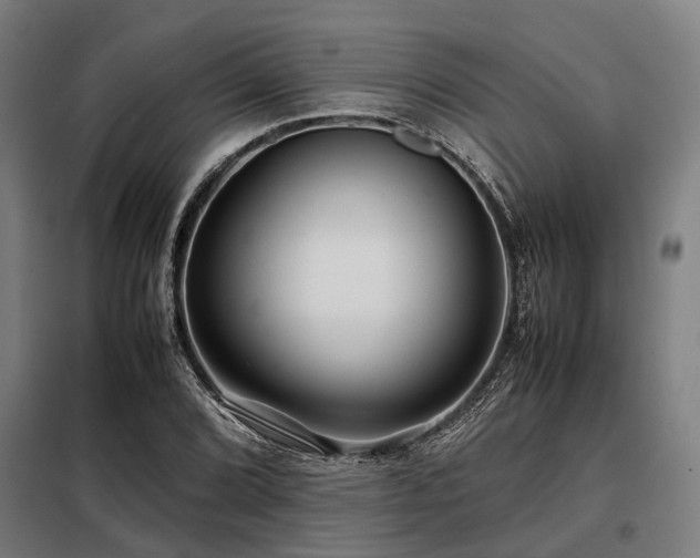 X0000098081072200804041143