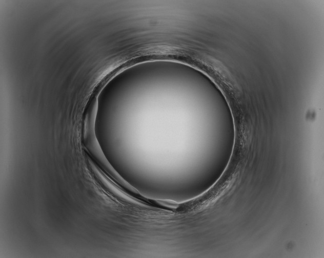 X0000098081073200804041143