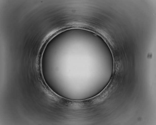 X0000098081074200804041143