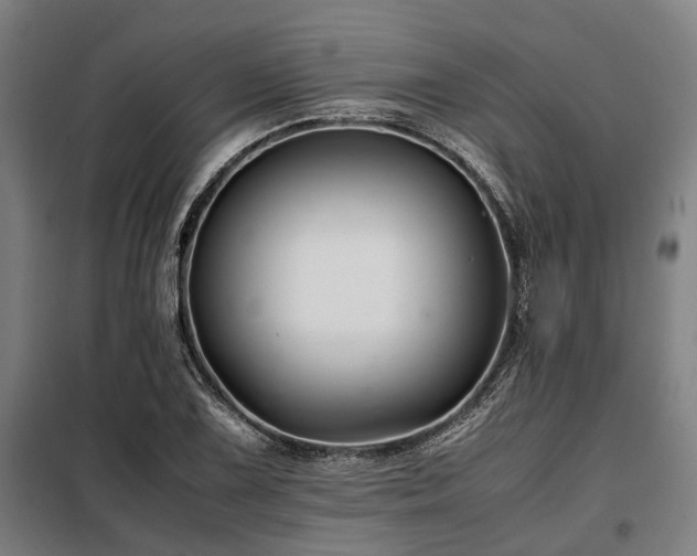 X0000098081075200804041143