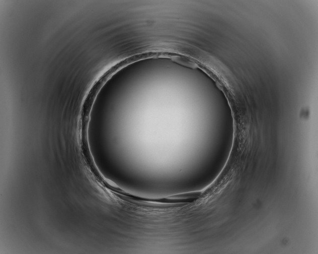 X0000098081076200804041143