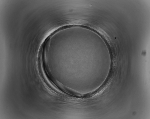 X0000098081077200804041143