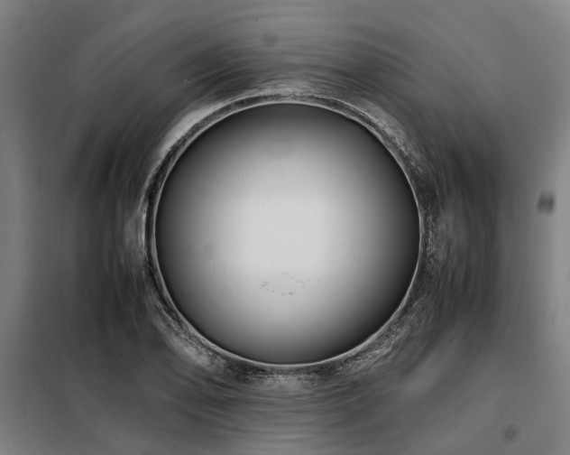 X0000098081078200804041143