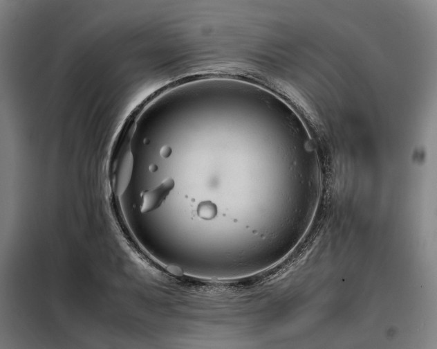 X0000098081079200804041143