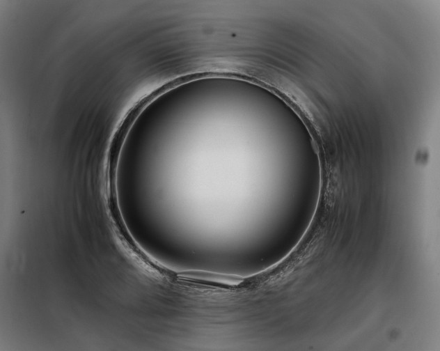 X0000098081080200804041143