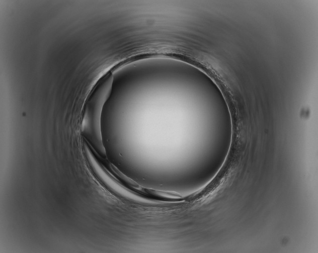 X0000098081081200804041143