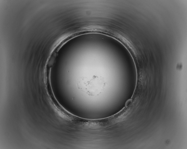 X0000098081082200804041143