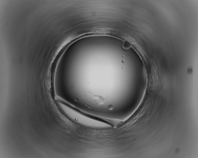 X0000098081083200804041143