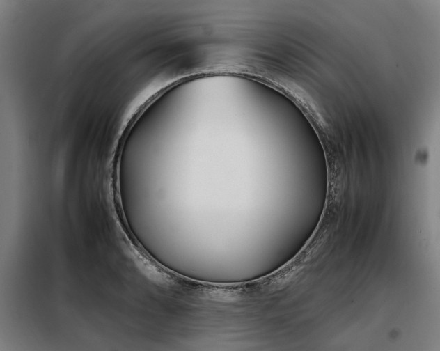 X0000098081086200804041143