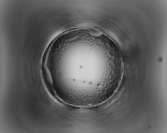 X0000098081087200804041143