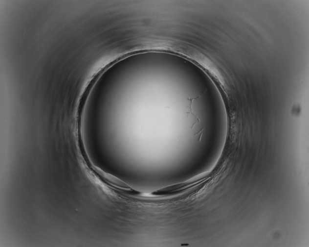 X0000098081088200804041143