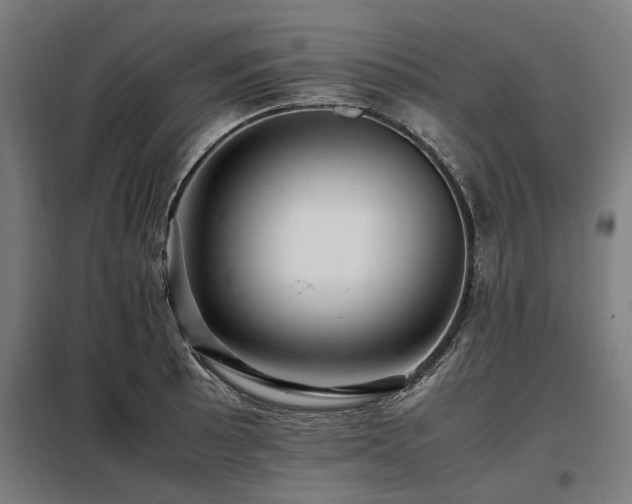 X0000098081089200804041143