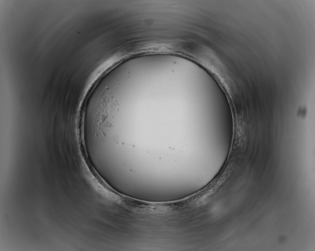 X0000098081090200804041143