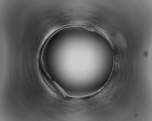 X0000098081091200804041143