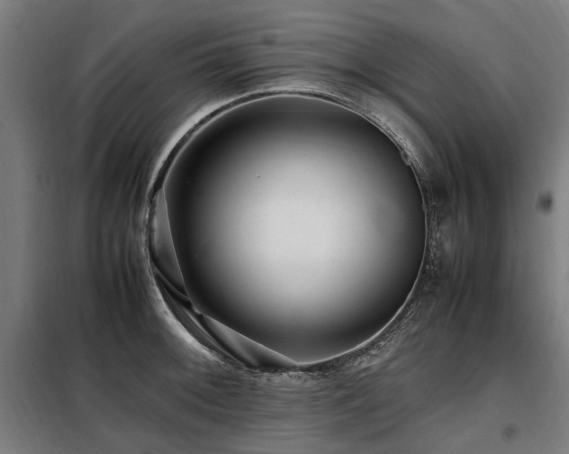 X0000098081092200804041143