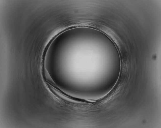 X0000098081093200804041143