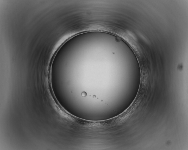 X0000098081094200804041143