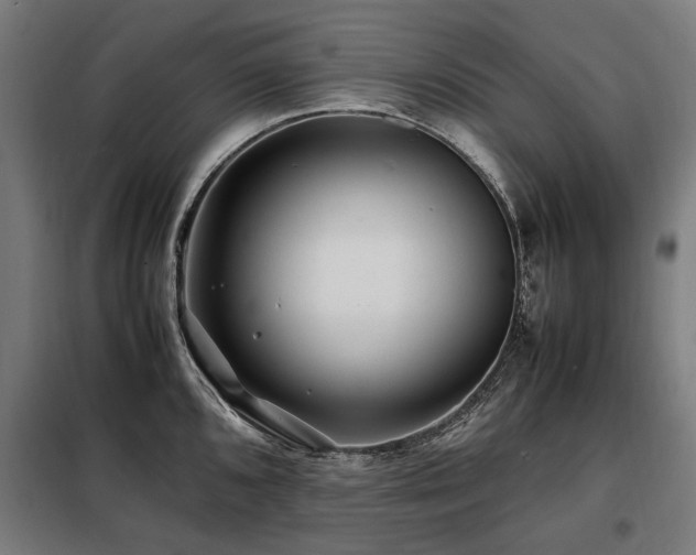 X0000098081096200804041143