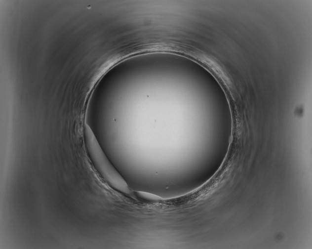 X0000098081097200804041143