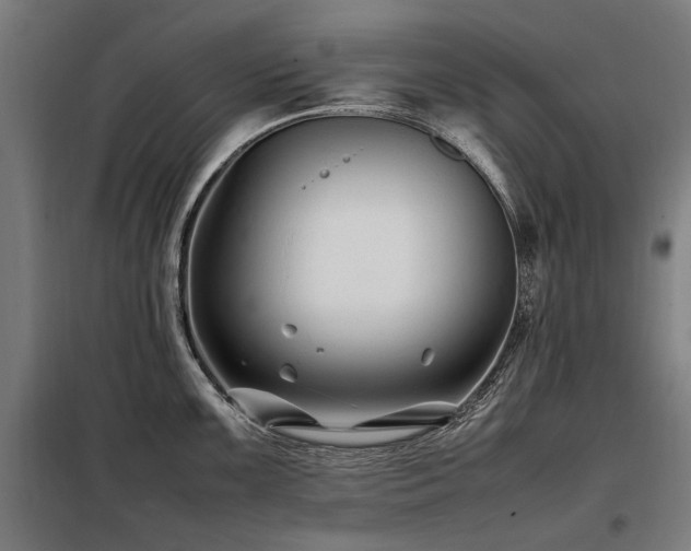 X0000098081099200804041143