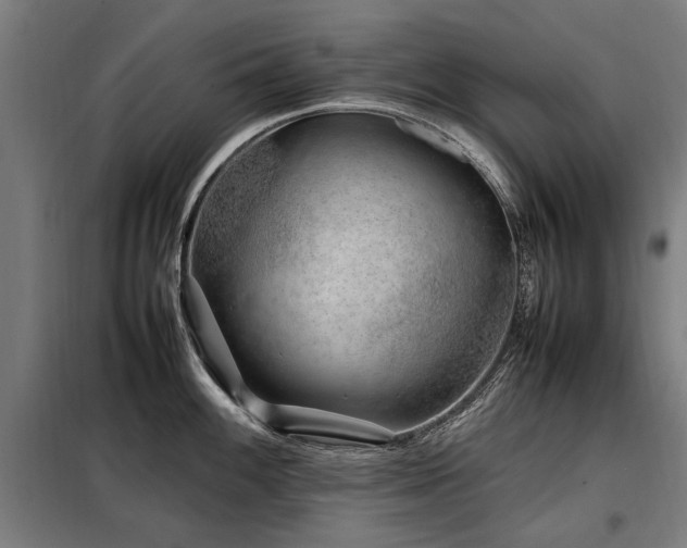 X0000098081100200804041143