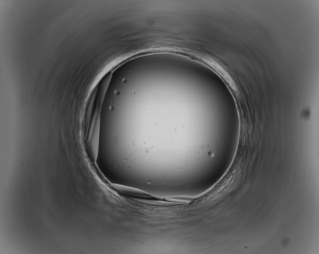 X0000098081101200804041143