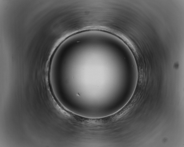 X0000098081102200804041143