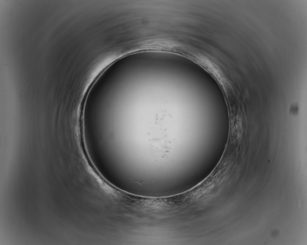 X0000098081103200804041143
