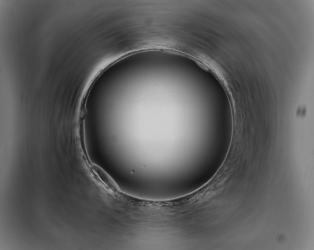 X0000098081104200804041143