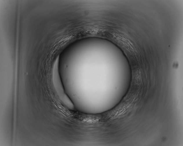 X0000098081105200804041142