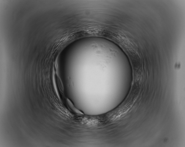 X0000098081106200804041142