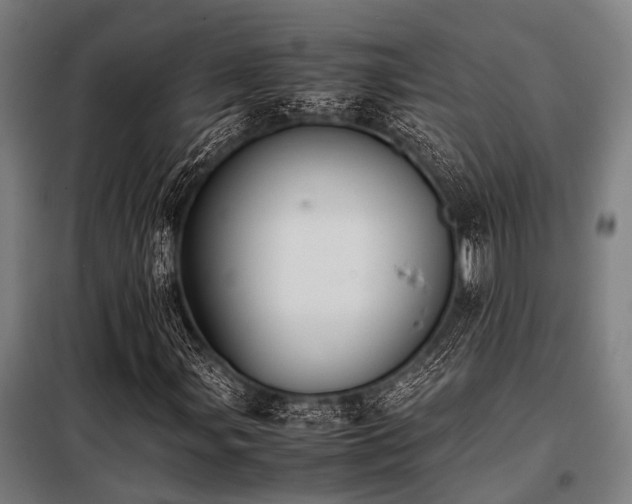 X0000098081107200804041142