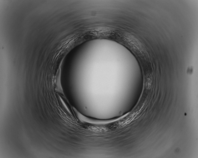 X0000098081108200804041142