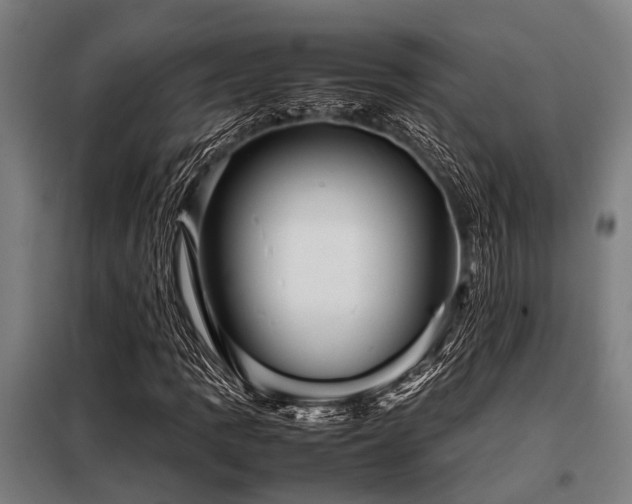 X0000098081109200804041142