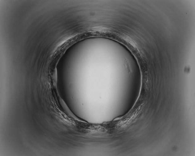 X0000098081112200804041142