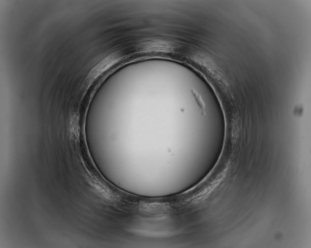 X0000098081113200804041142